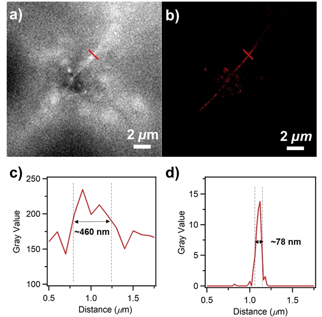 科学家制备新型氮掺杂纳米石墨烯实现超分辨率荧光成像