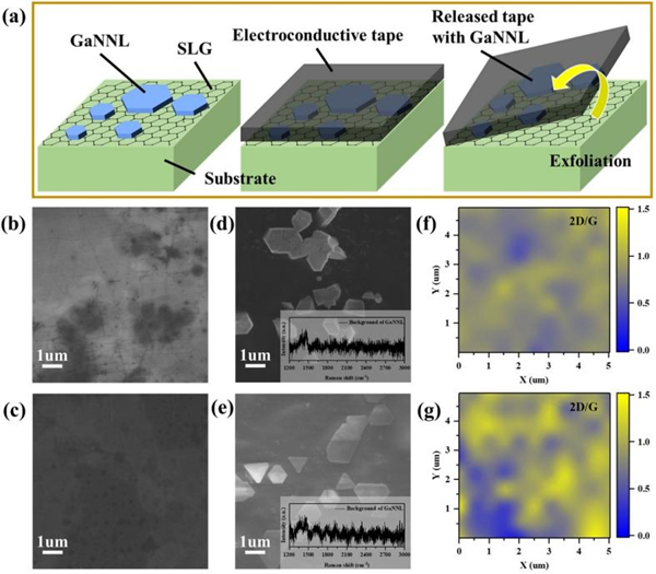 石墨烯调控的氮化镓远程外延机理研究获进展