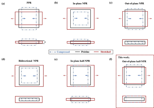 Graphene+中的新型半负泊松比效应