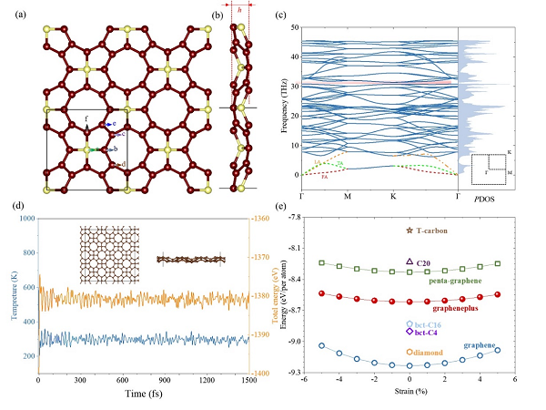Graphene+中的新型半负泊松比效应