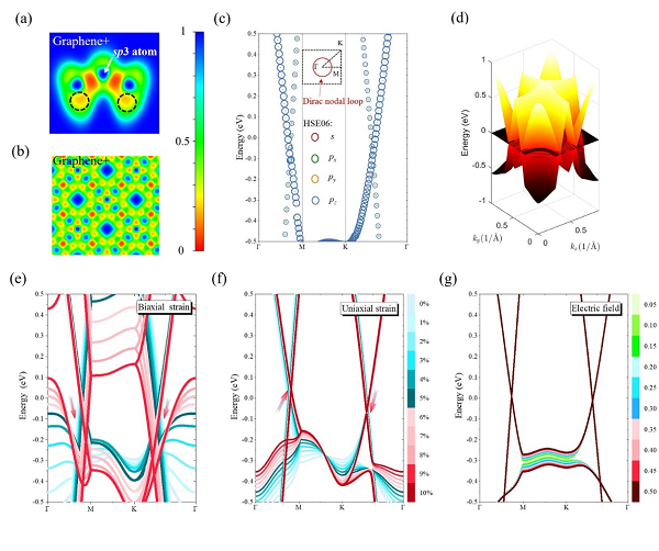 Graphene+中的新型半负泊松比效应