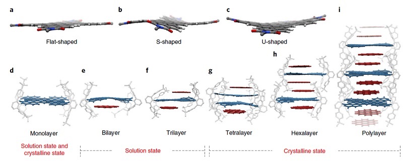 Nat. Chem.：用纳米石墨烯“盖楼”
