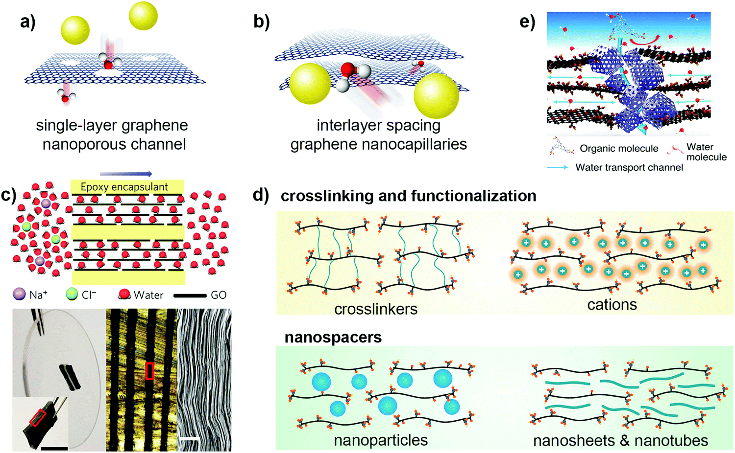 分离膜水道时代的到来！专访新加坡工程院院士
