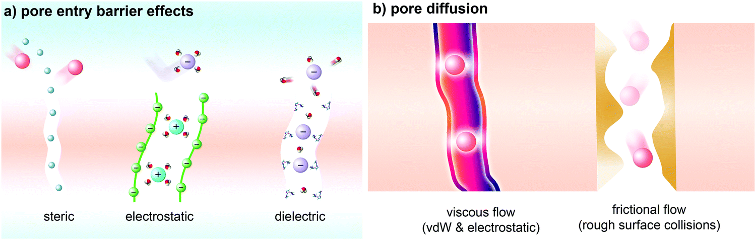 分离膜水道时代的到来！专访新加坡工程院院士