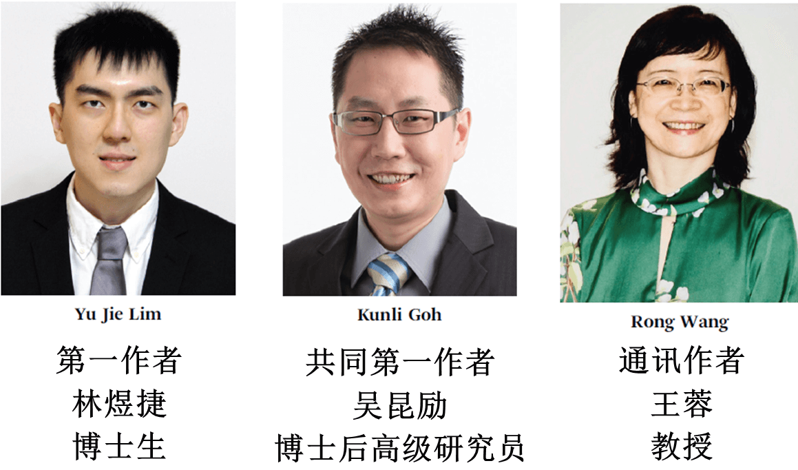 分离膜水道时代的到来！专访新加坡工程院院士