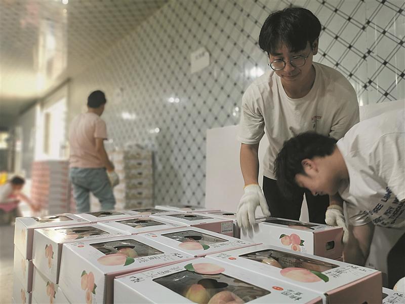 快递公司帐篷搭到农户家门前 阳山水蜜桃“寄得出”“跑得远”“收得快”