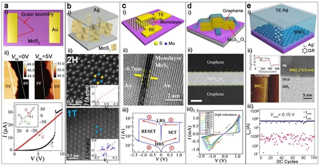 FOP |【Topical Review】国家纳米科学中心刘前课题组 | 基于二维材料的新一代忆阻器的最新研究进展