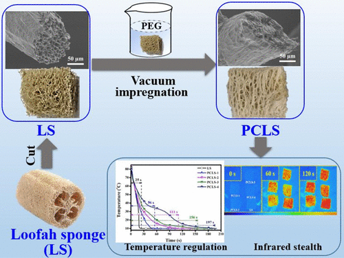 新型储能复合材料制备：向丝瓜海绵学习结构