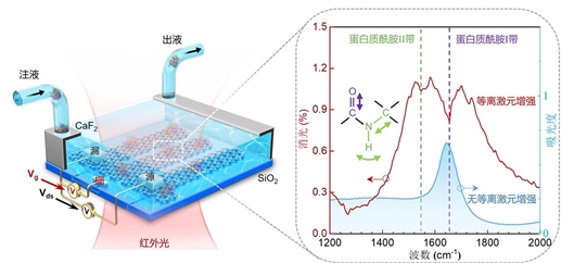 等离激元“拉满”红外“技能”