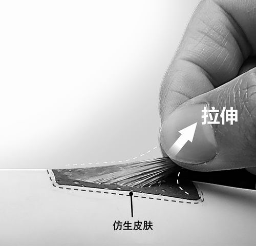 拉一拉扯一扯 仿生皮肤也会“痛”