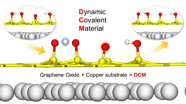 铜衬底显著增强了氧化石墨烯上的动态氧迁移