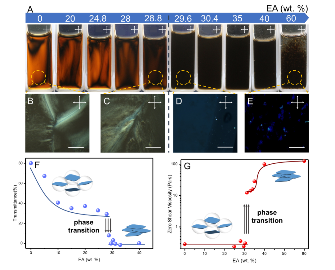 浙江大学许震副教授 揭示二维分子“随机落叶”聚沉行为
