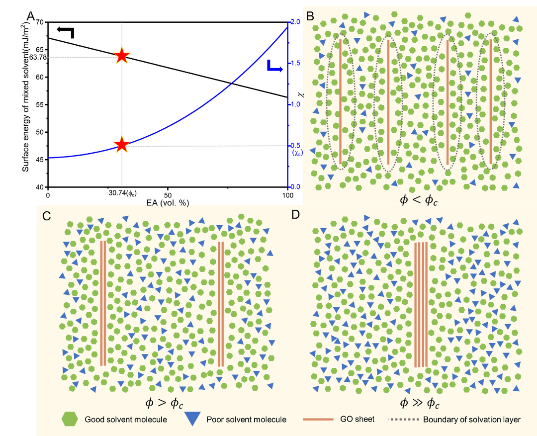 浙江大学许震副教授 揭示二维分子“随机落叶”聚沉行为