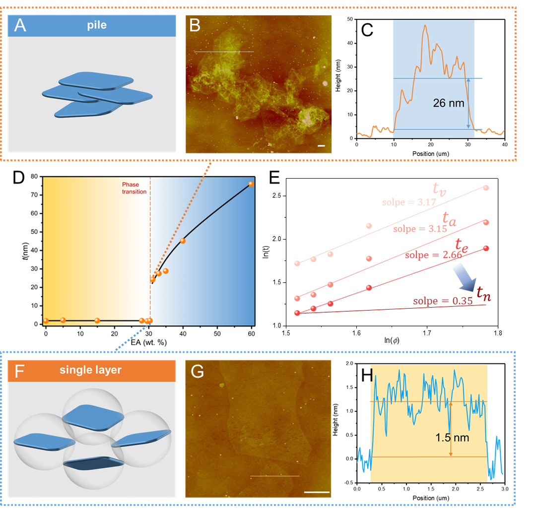 浙江大学许震副教授 揭示二维分子“随机落叶”聚沉行为