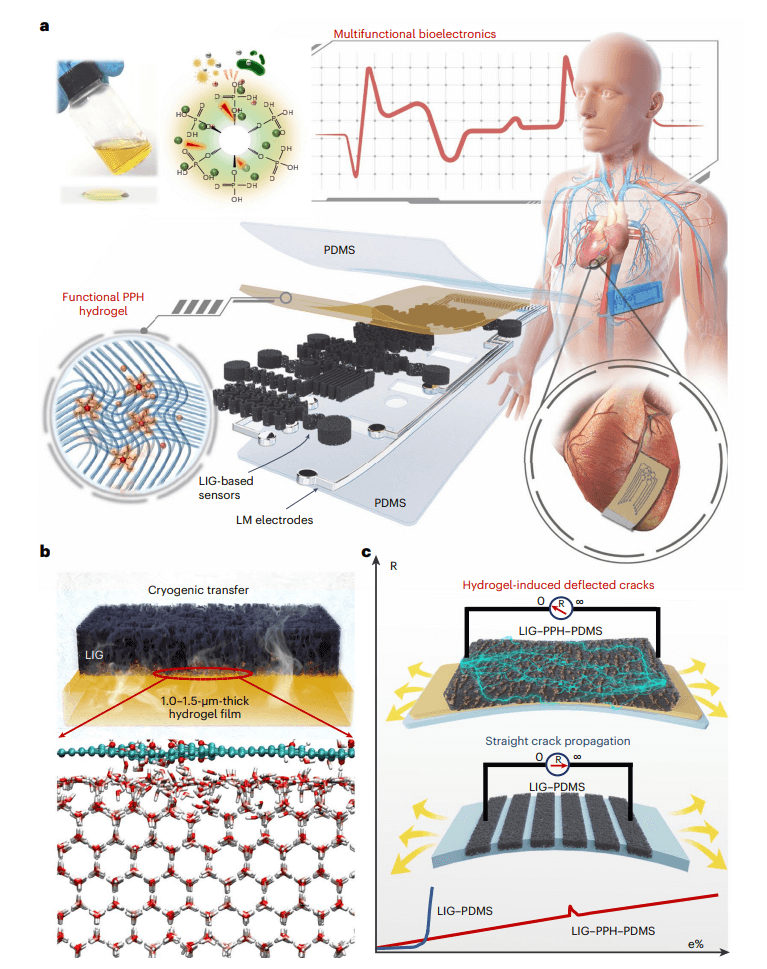 研究前沿：浙江大学顾臻/徐凯臣Nature Electronics | 激光诱导石墨烯