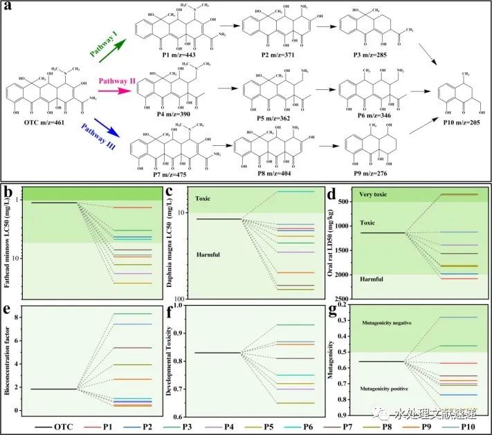 文献速递|重庆市计量质量检测研究院SPT:封闭双金属有机框架的还原氧化石墨烯膜可促进类似芬顿过程的污染物超快降解