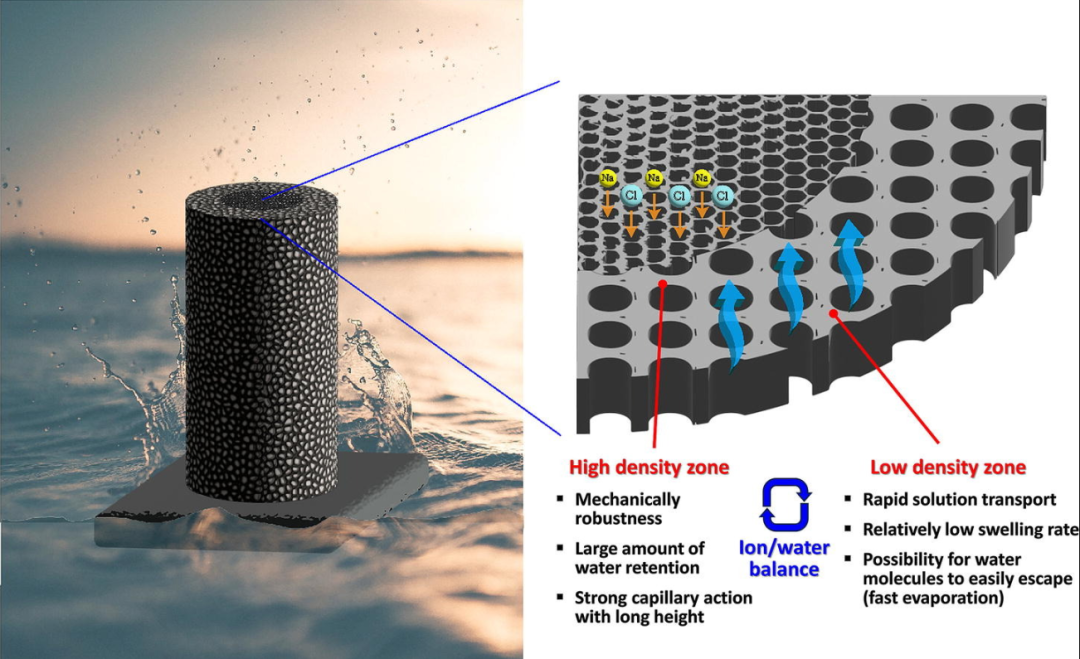 韩国浦项科技大学《CEJ》：层压壳聚糖/石墨烯纳米片气凝胶，用于海水淡化