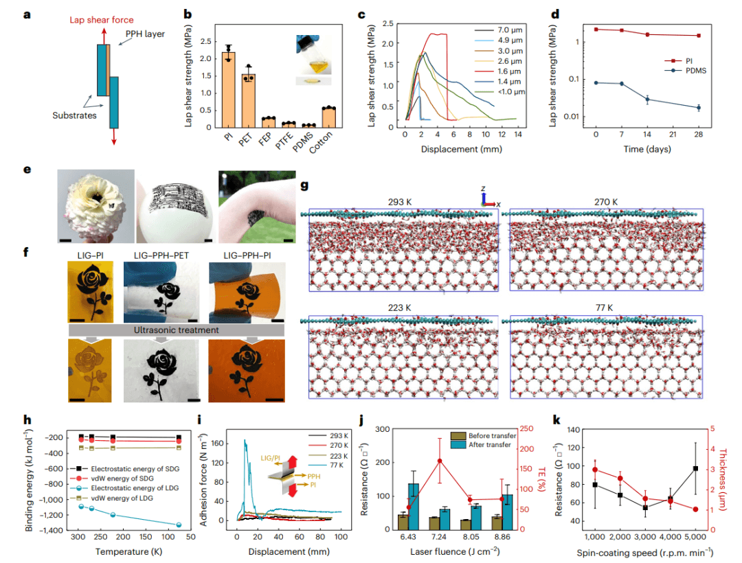 研究前沿：浙江大学顾臻/徐凯臣Nature Electronics | 激光诱导石墨烯