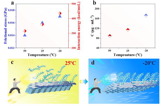 河南大学《CEJ》：基于增强分子间和界面相互作用提高石墨烯液相剥离效率