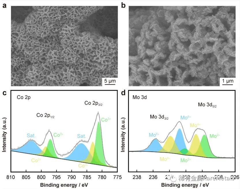Rare Metals 华东理工大学陈庐阳：​三维氮掺杂石墨烯上合成蜂窝状MoCo合金电催化剂应用于高效析氢反应