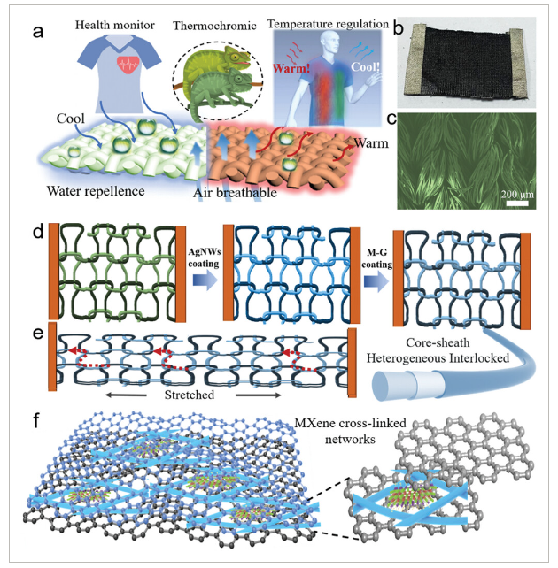 青岛大学《Small》：AgNW芯-石墨烯鞘异质互锁结构的智能纺织品，用于个性化医疗保健和热管理