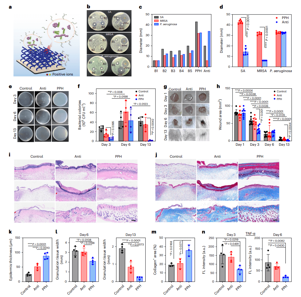 研究前沿：浙江大学顾臻/徐凯臣Nature Electronics | 激光诱导石墨烯