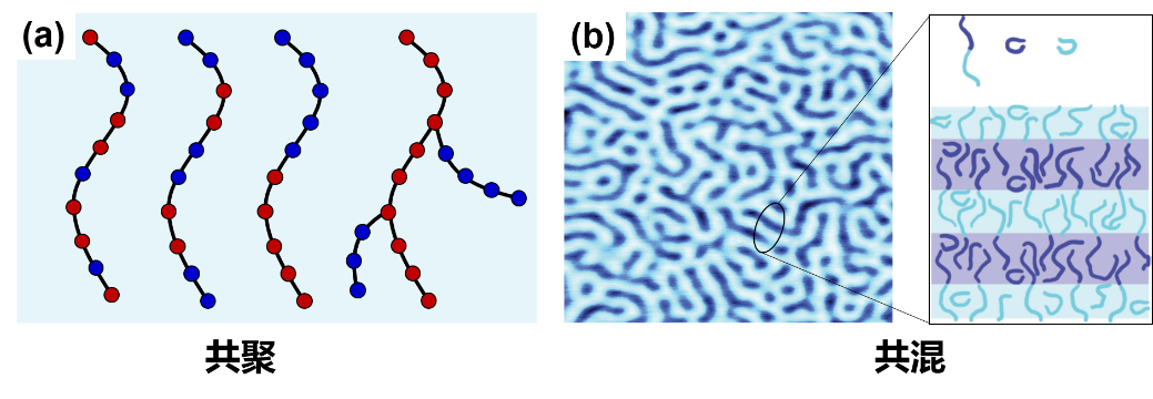 ​高分子流体：揭秘日常用品背后的神奇科学