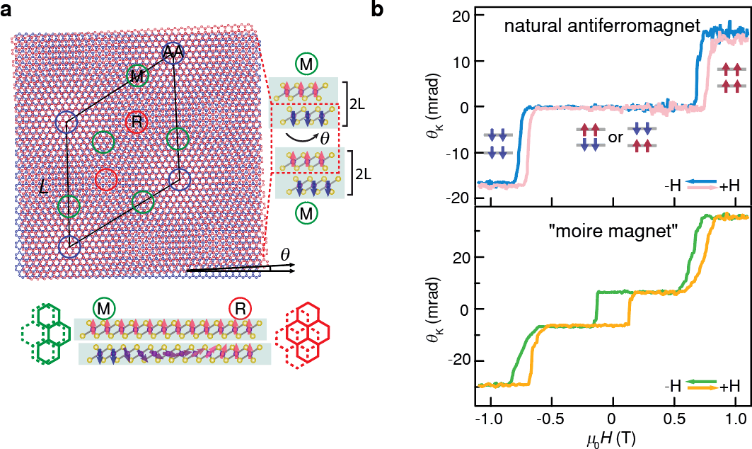 研究人员将双电子学和自旋电子学结合起来 实现可调摩尔纹磁性