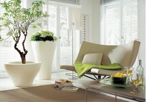 忙而不茫，卓威科技勇往直前