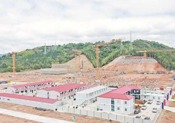 沪明情 向未来 | 产业之树枝繁叶茂 山海合作共谱新篇