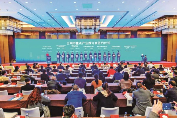 沪明情 向未来 | 产业之树枝繁叶茂 山海合作共谱新篇