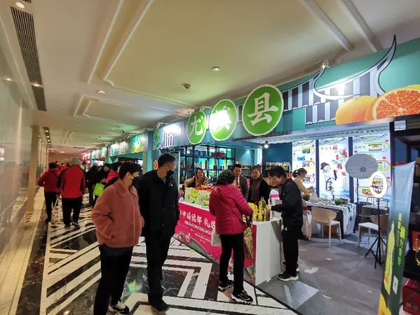 沪明情 向未来 | 产业之树枝繁叶茂 山海合作共谱新篇