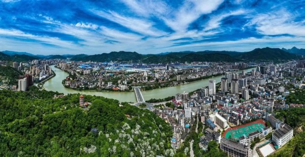 沪明情 向未来 | 产业之树枝繁叶茂 山海合作共谱新篇