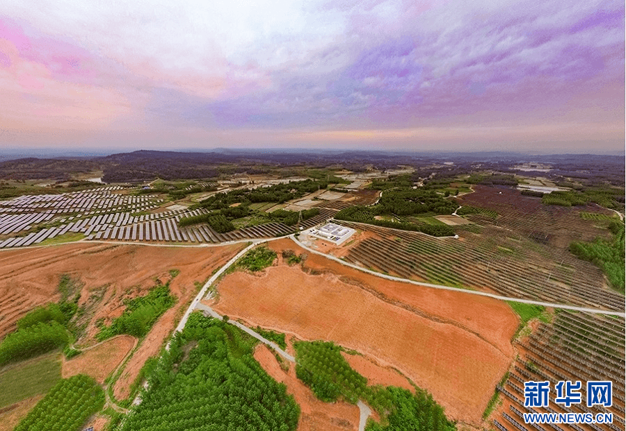 湖北随县：农光互补促振兴
