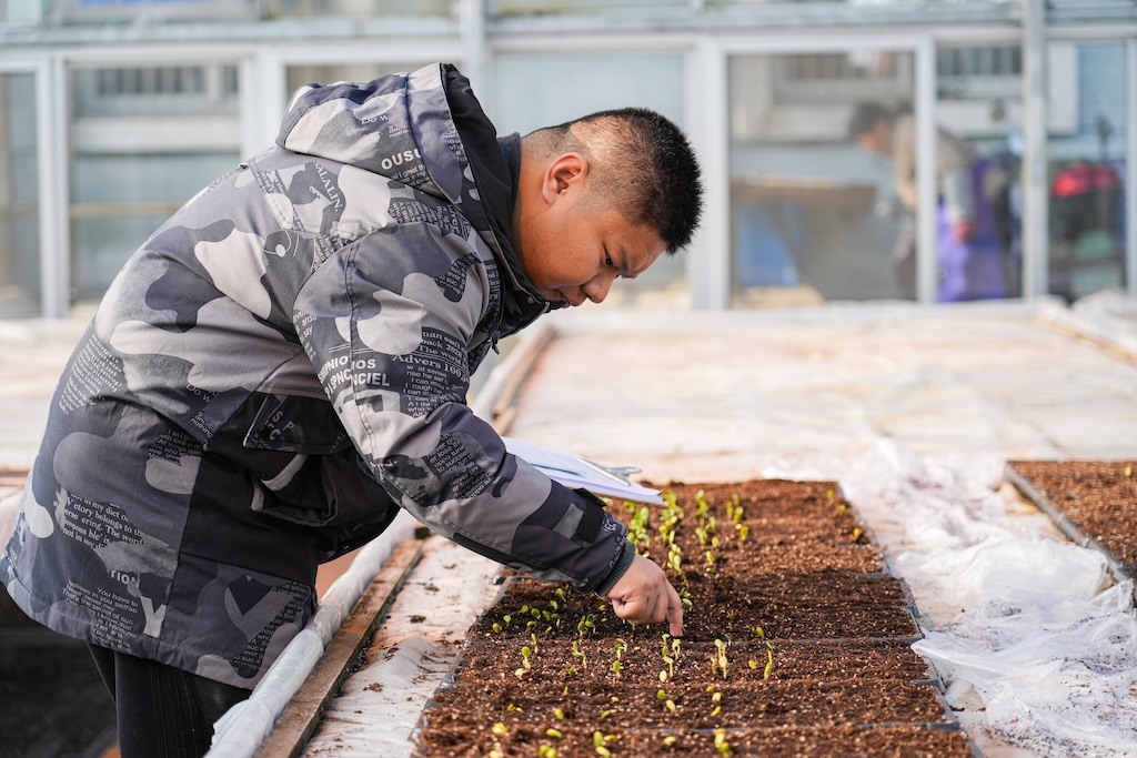 温室大棚用上石墨烯电暖，助力幼苗冬季生长
