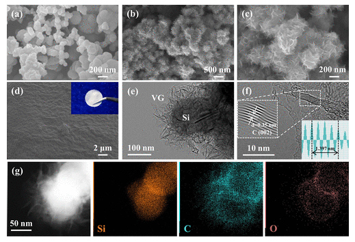 哈工大《ACS AEM》：垂直石墨烯片状封装硅纳米颗粒，用于聚合物基全固态电池阳极