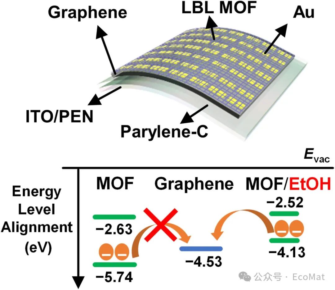 首尔大学EcoMat：柔性透明的石墨烯/MOF基化学传感器助力高灵敏度乙醇检测