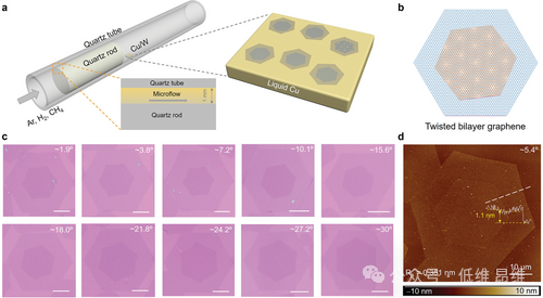 Adv. Mater.液态铜上原位生长高质量单晶转角双层石墨烯