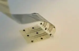 InBrain Neuroelectronics公司提出基于新型石墨烯晶体管的脑机接口