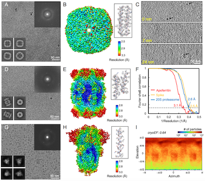 清华大学生命学院王宏伟课题组与北京大学彭海琳课题组合作开发石墨烯“三明治”技术用以制备冷冻电镜样品