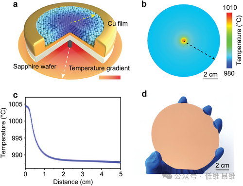 Adv. Mater.:晶圆级单晶石墨烯在Cu（111）单晶衬底上的可控制备