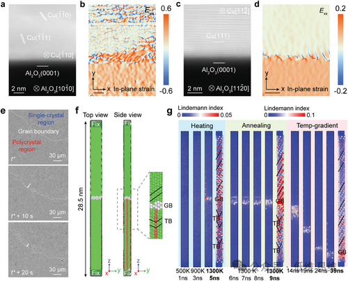 Adv. Mater.:晶圆级单晶石墨烯在Cu（111）单晶衬底上的可控制备