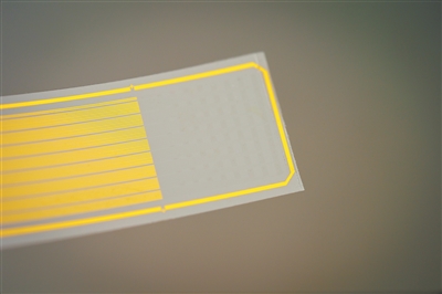 透明植入物可读取大脑深层神经活动