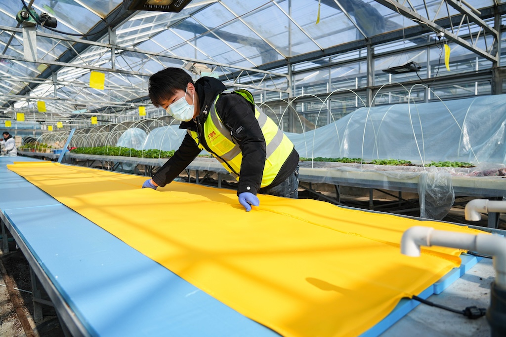 温室大棚用上石墨烯电暖，助力幼苗冬季生长