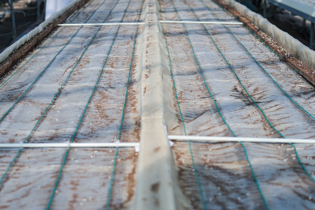 温室大棚用上石墨烯电暖，助力幼苗冬季生长