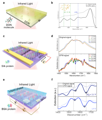 Newswise：合成复频波的超灵敏分子传感