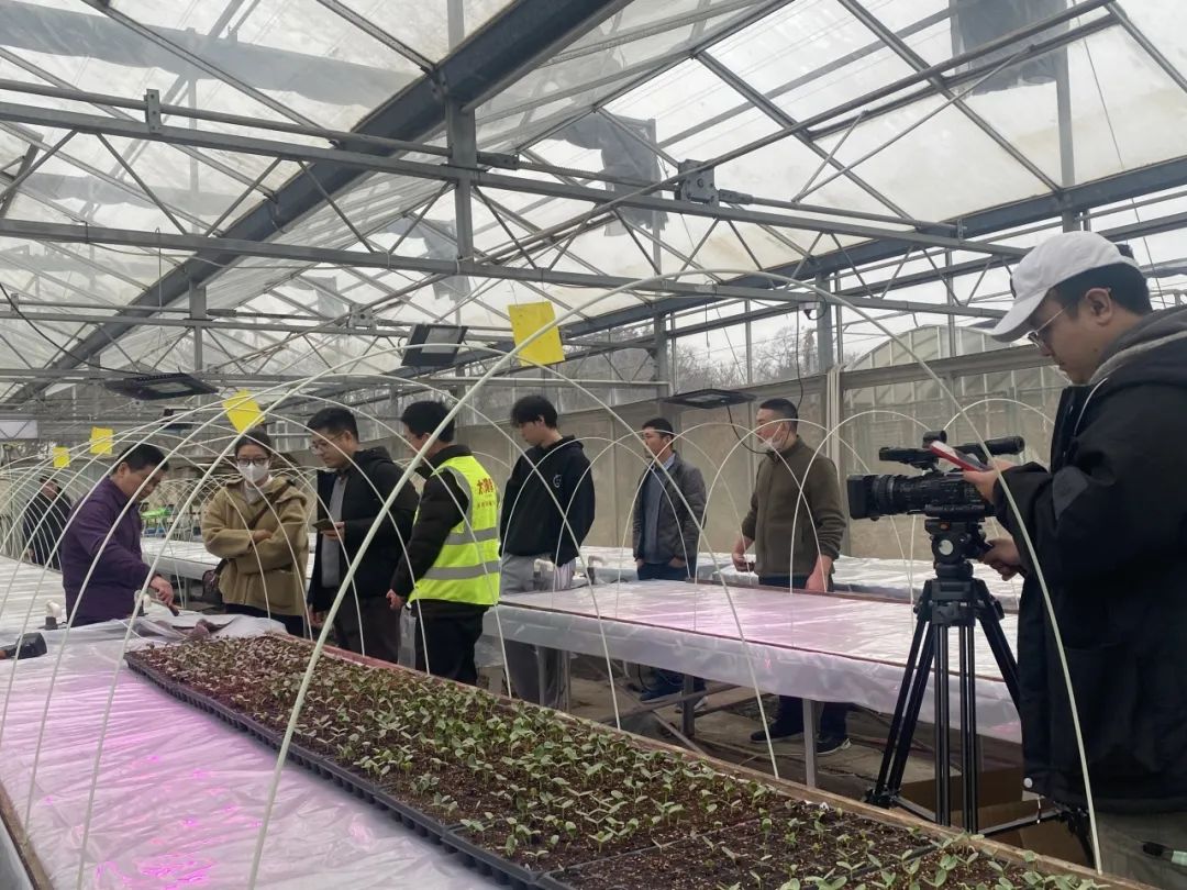 图文速览｜国家石墨烯创新中心工作回顾（1月8日-1月30日）