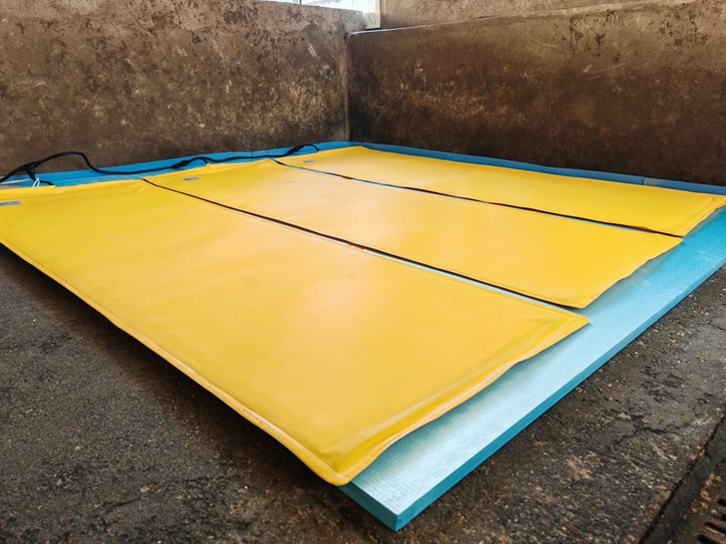 92家镇企入选！今年第一批市创新型中小企业名单公示