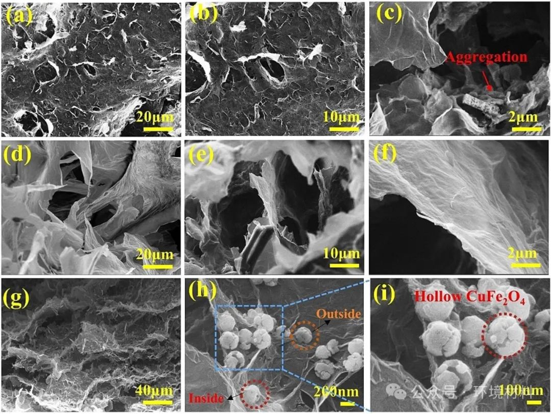 今日推送东北大学SPT：磁性丝瓜络/石墨烯/CuFe2O4海绵用于高效油水分离