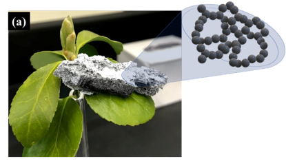 研发中心与美国普林斯顿大学联合研究的“超轻质石墨烯-HBN纳米颗粒气凝胶”国际专利申请获中国授权